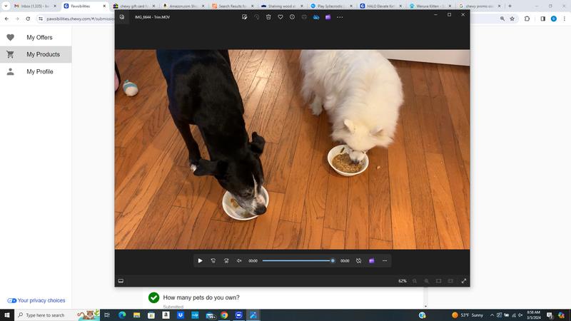 We Love Halo Elevate Kettle!!!