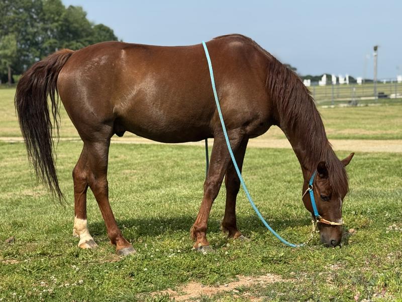 5 days after his bath, he’s still shiny! Love this stuff!