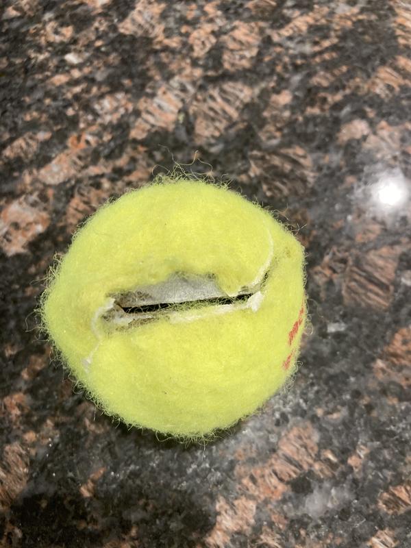 Indestructible tennis outlet balls