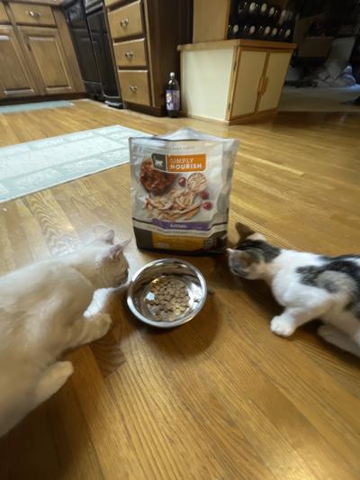 Simply nourish clearance cat food reviews