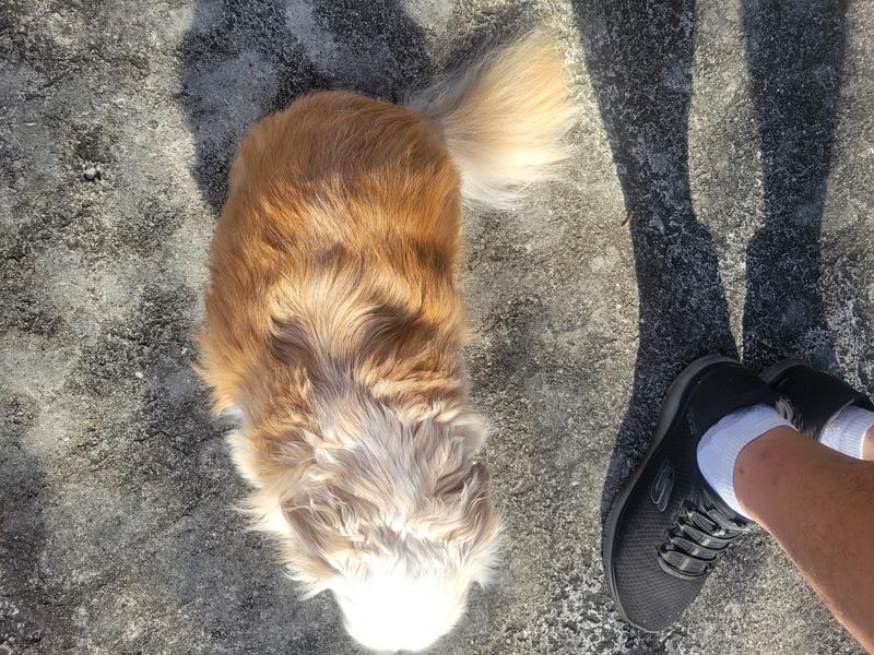 Desheds without irritating skin.