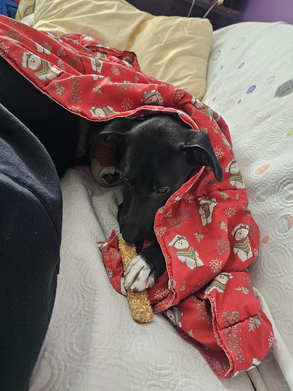 Charlotte with her new favorite treat !