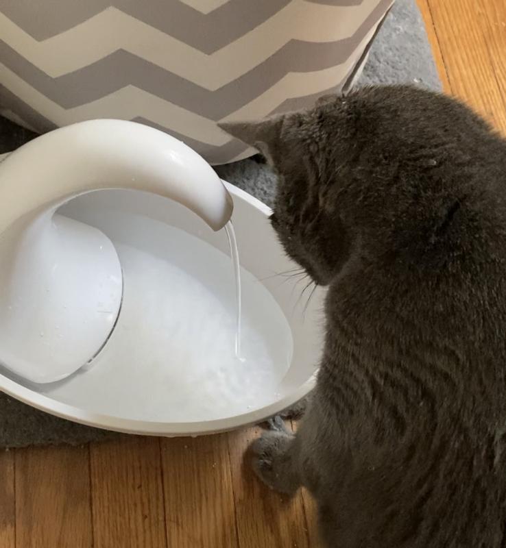 PIONEER PET Swan Cat Drinking Fountain White Chewy