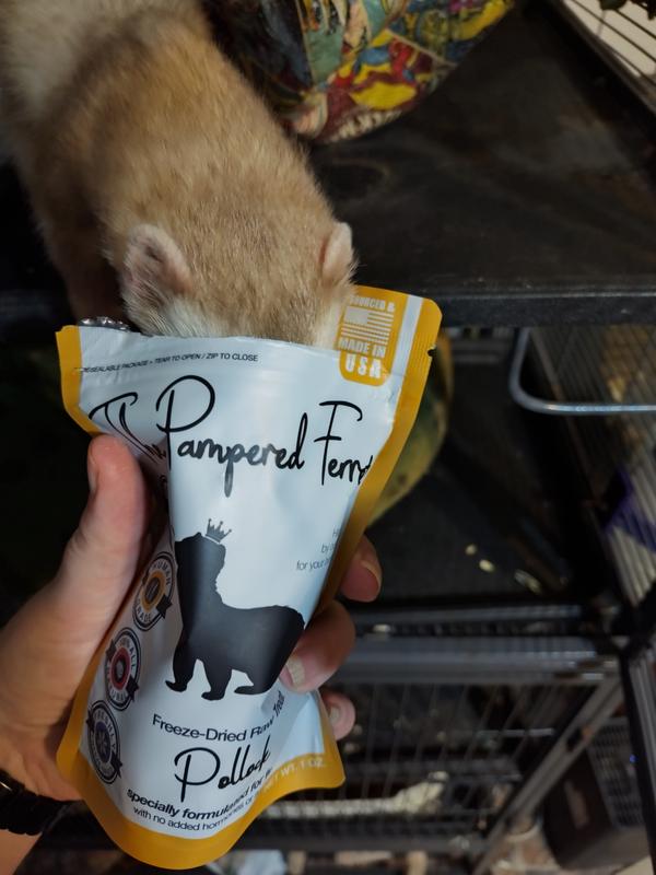 One of them is interested