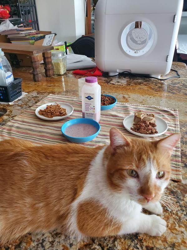 Not gonna even try it.