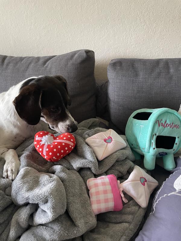 Frisco Valentine Love Letters Hide & Seek Puzzle Plush Squeaky Dog Toy