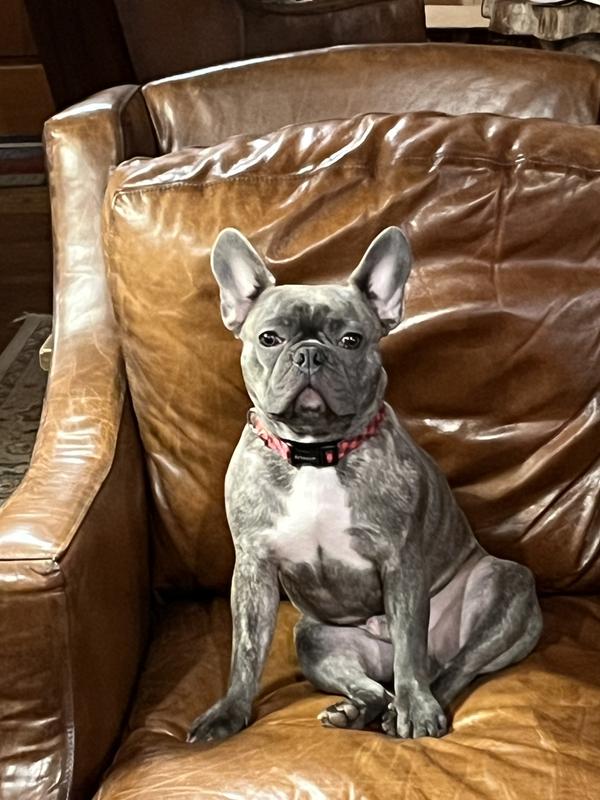 Sittin' Pretty
