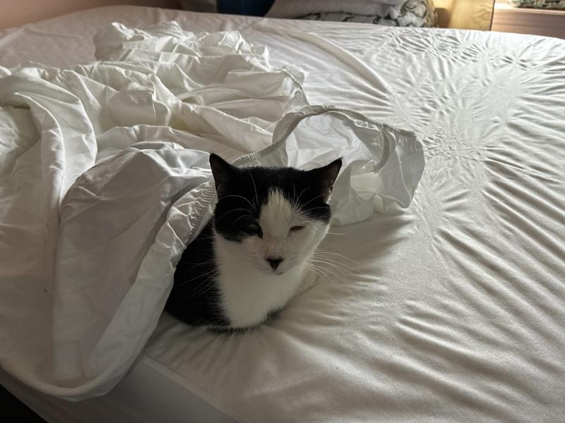 “Helping” change the sheets