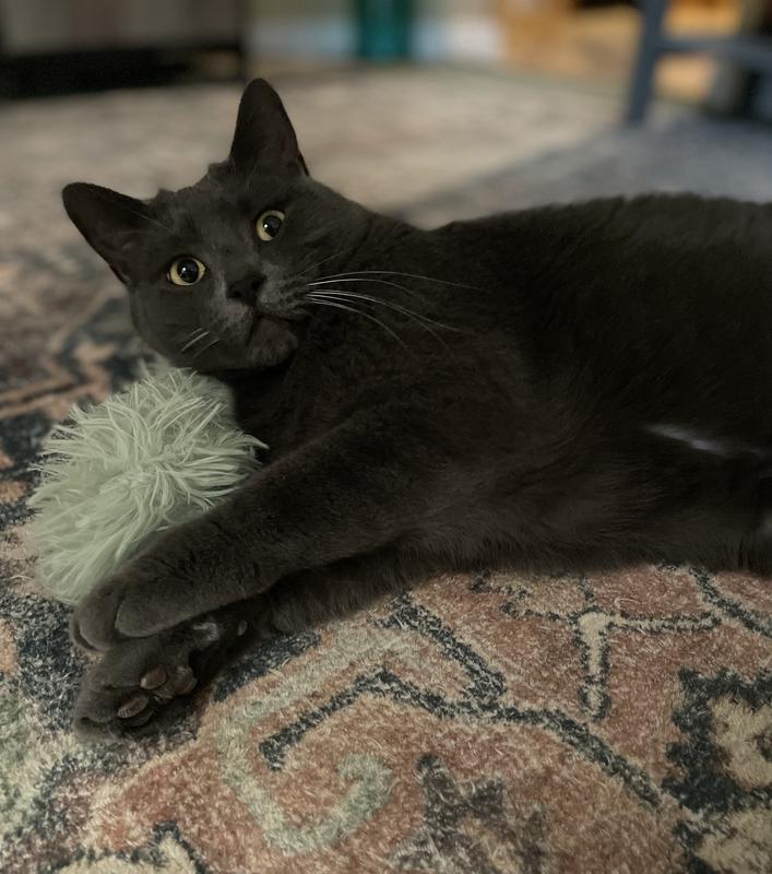"Why yes, I will model for the review photo. Something like this?"