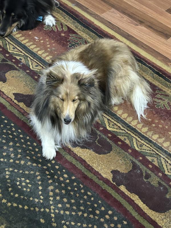 My Skyla, 2 1/2yrs
