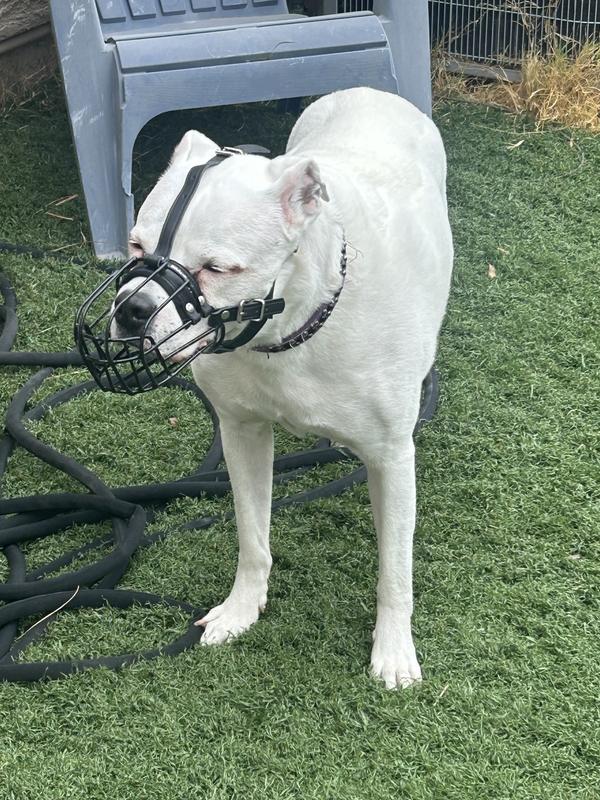 Stylish, yet functional