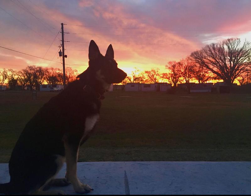 Sunrise in the plains