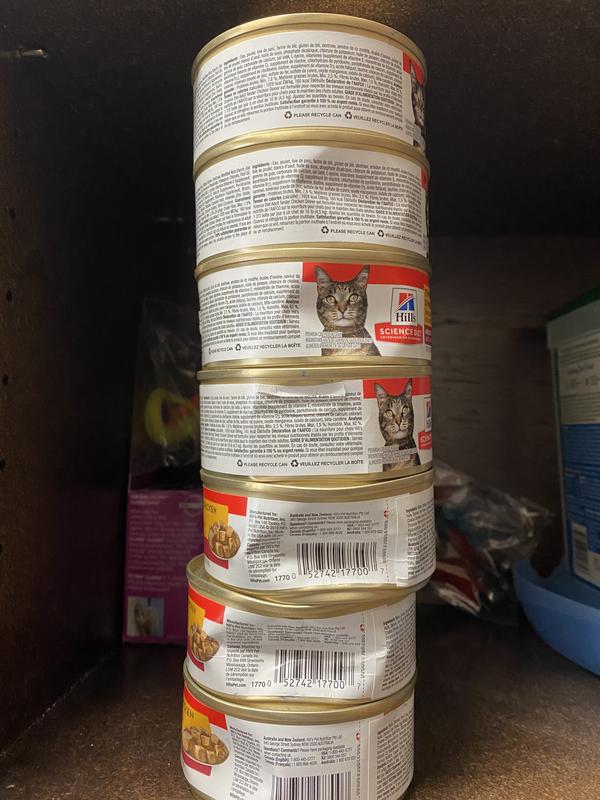 Dented Cans