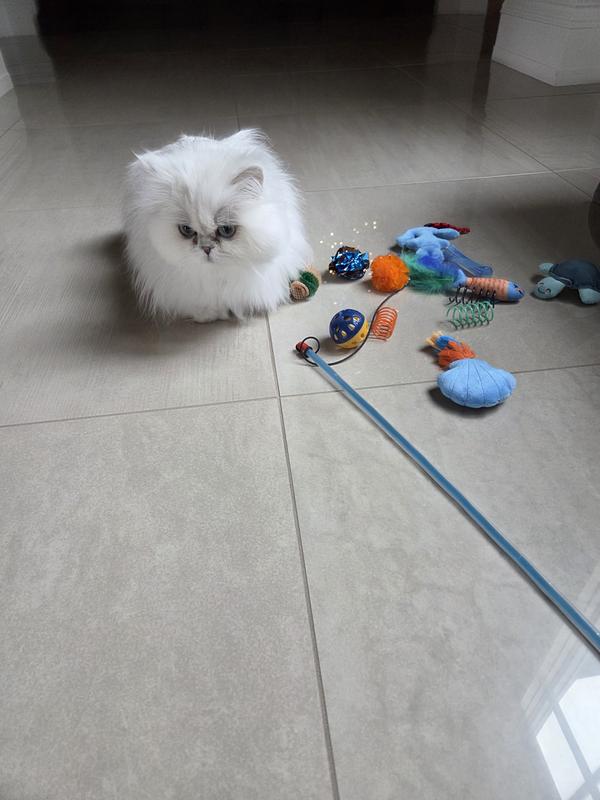 Ready to play