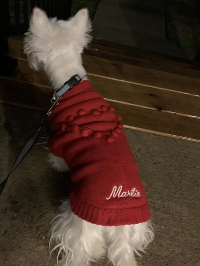 Brown Monogram Chewy Dog Sweater