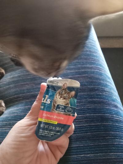 Yoki sniffing the single serving packet before I opened it.