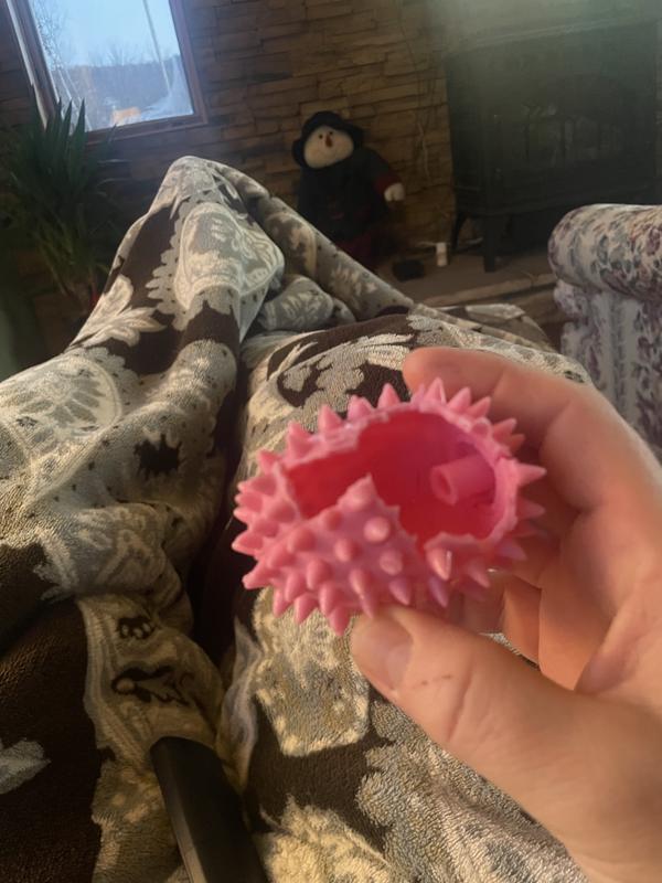 The pig belly lasted two