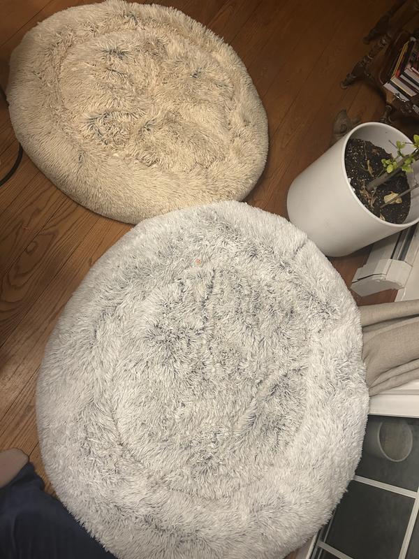 XL vs Large