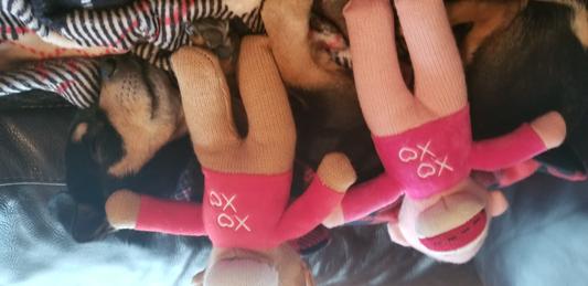 taking a nap with my new toy's