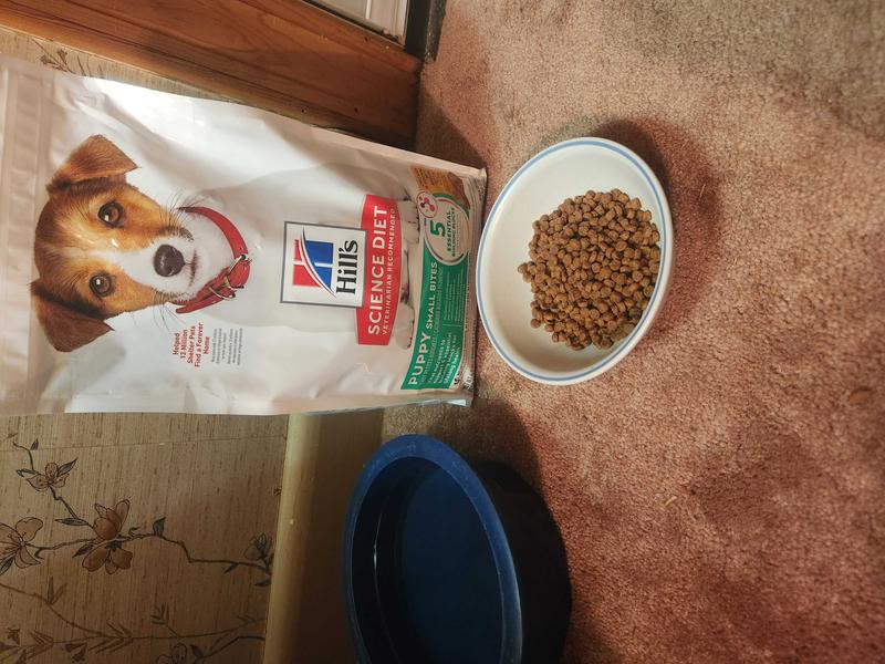 Hill's science diet puppy healthy development small bites 2024 dry dog food