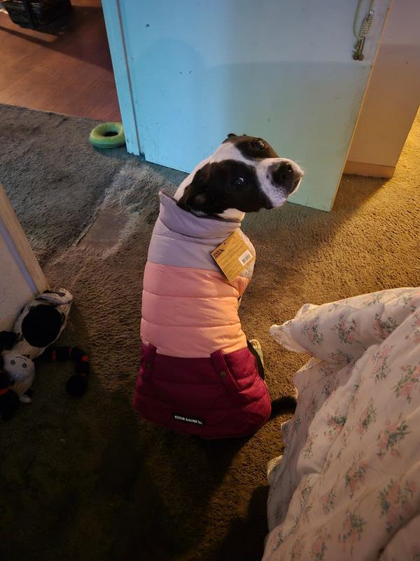 Yes it’s an Eddie Bauer