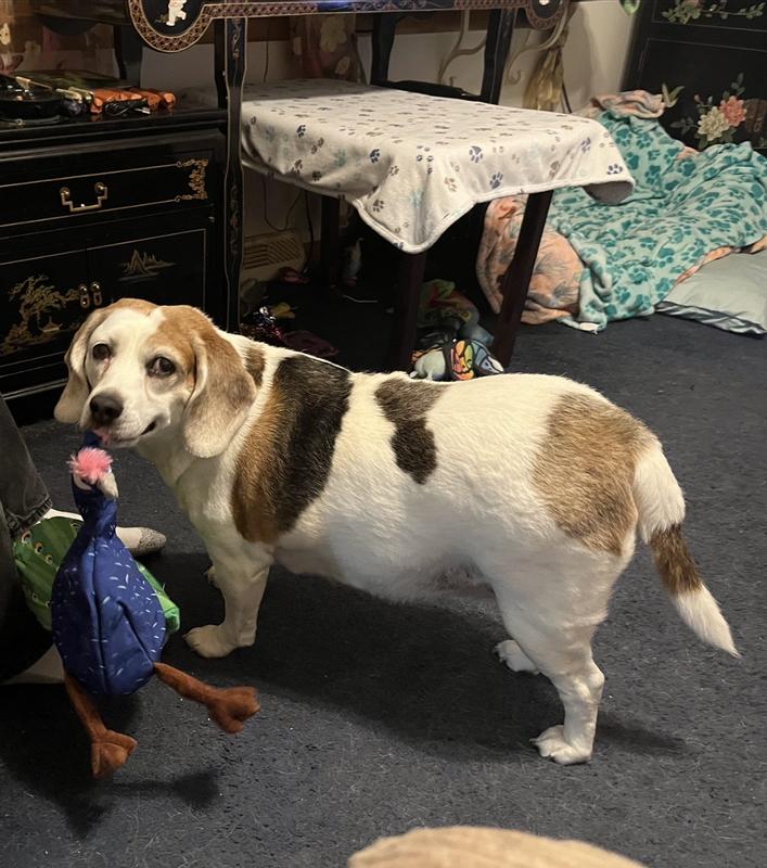 She paused as she was shaking it!!