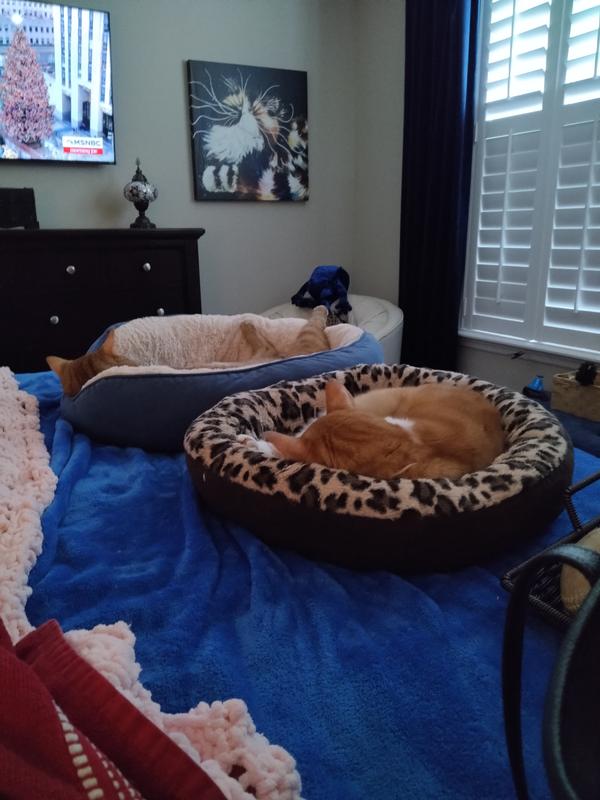 TIDY CATS Breeze Cat Litter Pellets Refill, 7lb bag