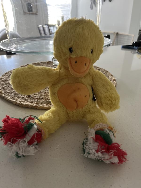 Frisco Duck Plush Squeaky Dog Toy