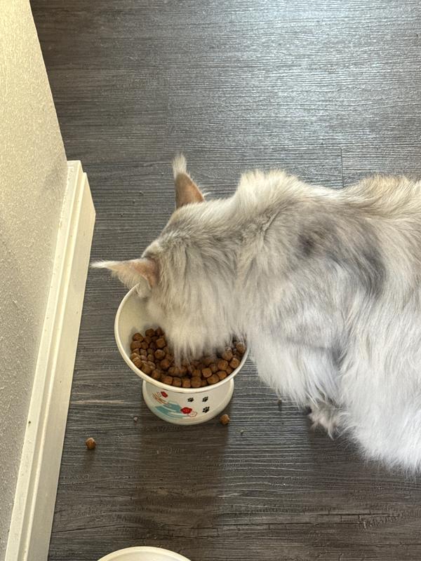 Helga says, “Yummy”