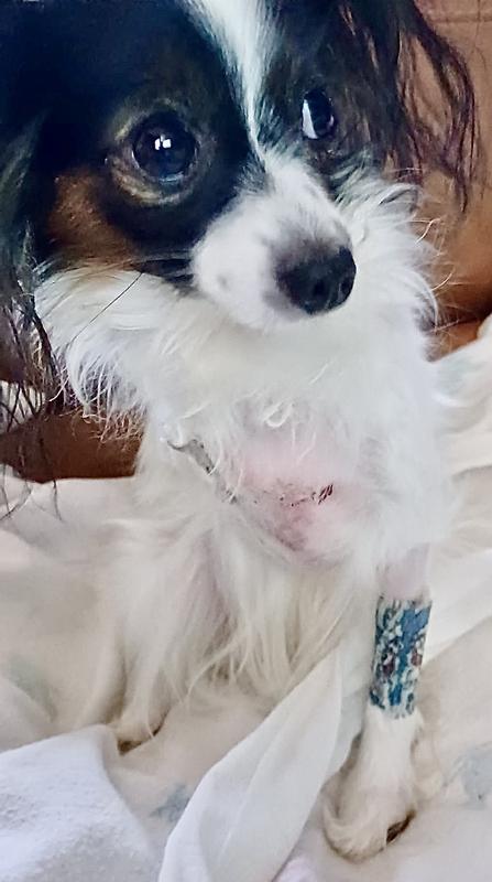 Here she’s missing her right arm. I’m so sorry…