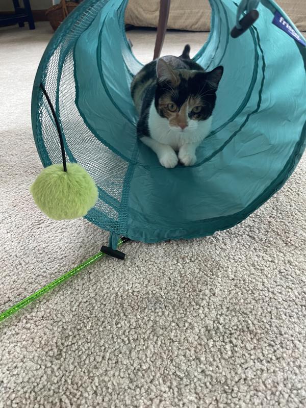 Cat Tube Tunnel Depets Cat Tunnel For Indoor Cats, Way Large