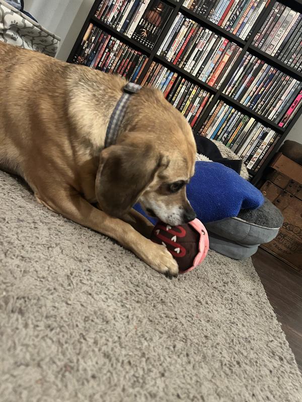 Our Clyde Muffin loves this basket!!