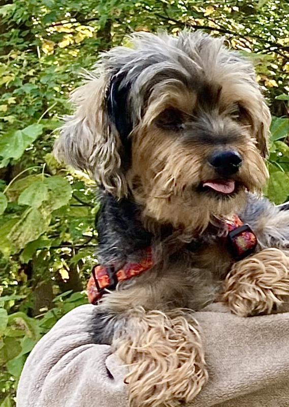 My favorite photo of my Charlie,