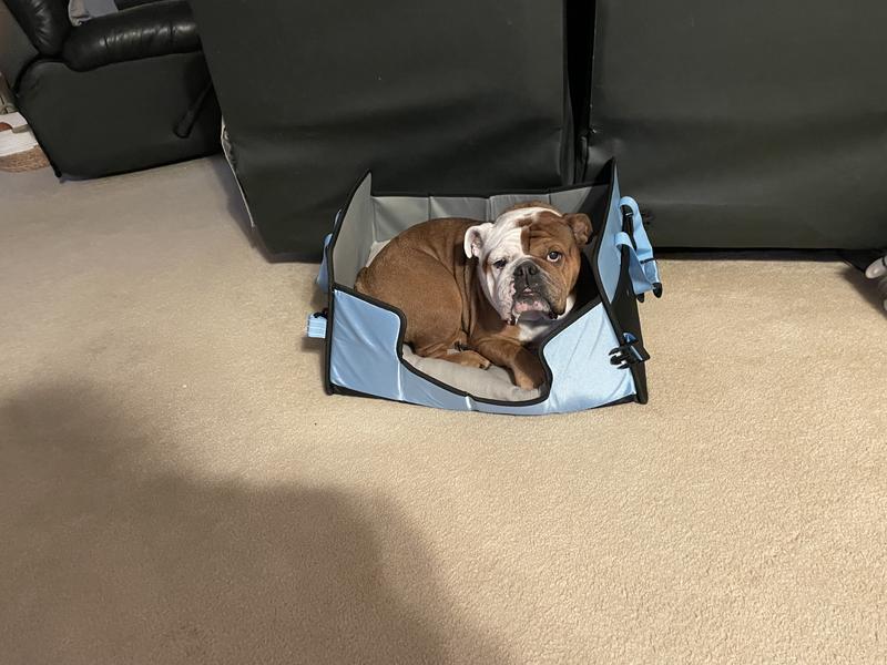 Rick loves his new travel bed