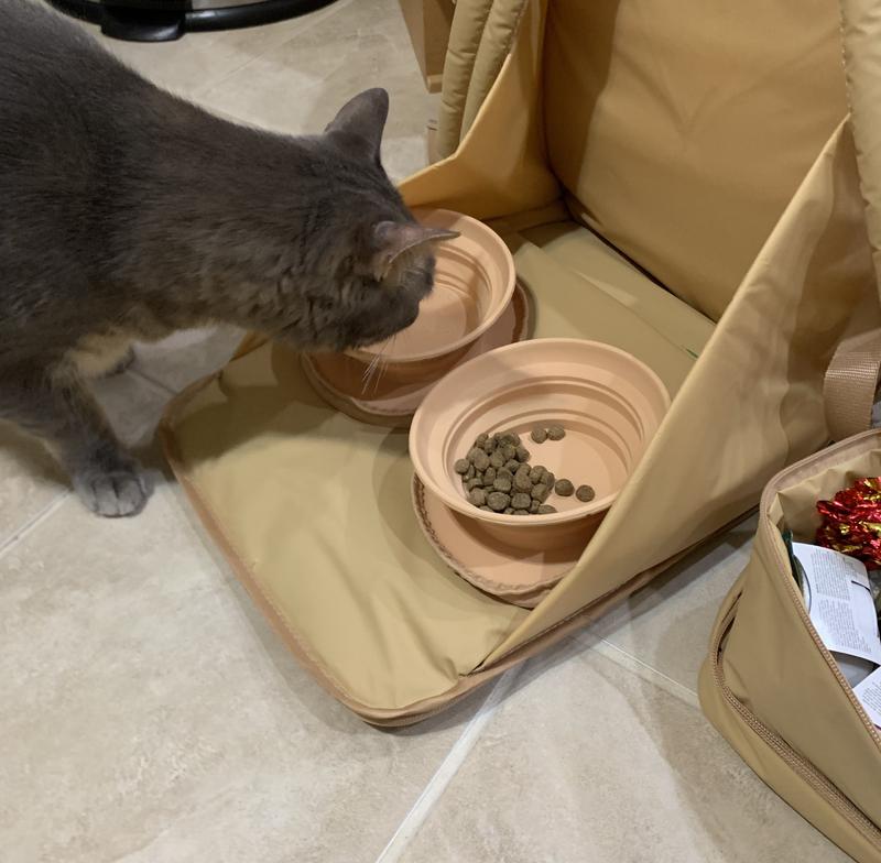 Cat Approved!