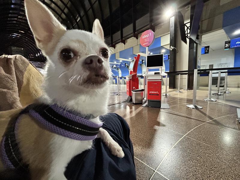 Soleil in Jose Cordova in Medellin Colombia