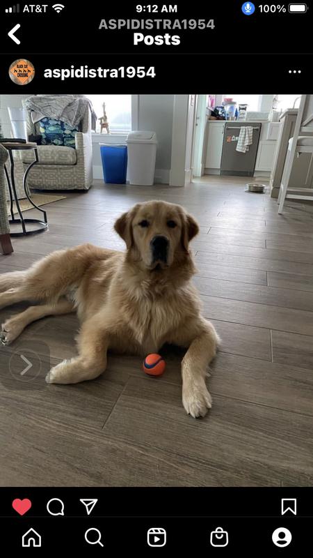 Protecting MY ball.