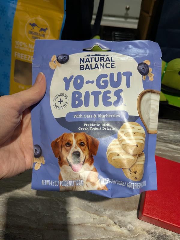 dry dog food open farm Open Farm Epic Blend Salmon & Superfood Dry Dog Food - Hilton, NY
