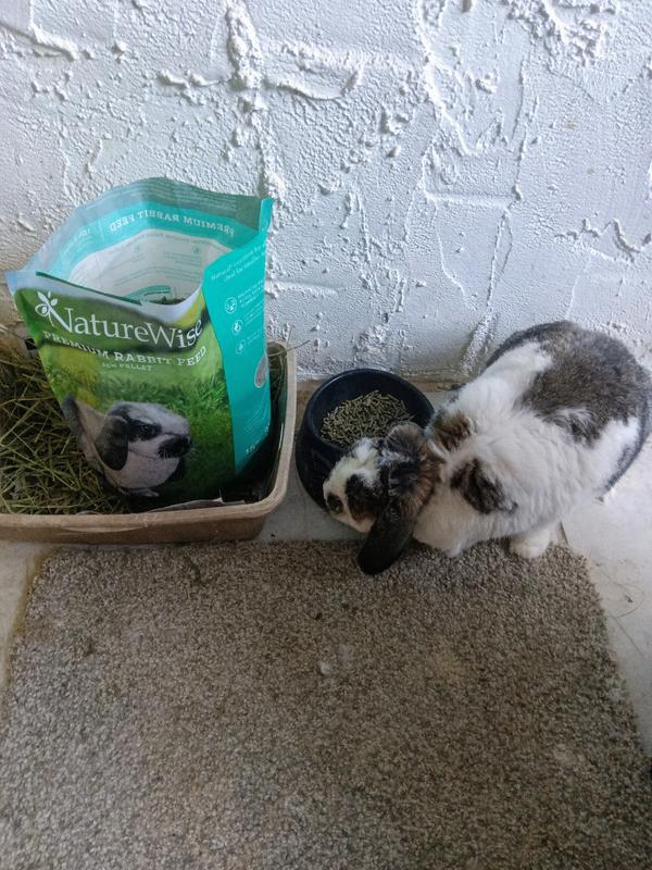 NUTRENA NatureWise Premium Rabbit Food, 25-lb bag - Chewy.com