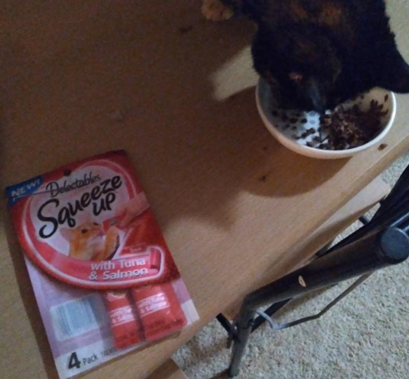 Squeeze up outlet cat food