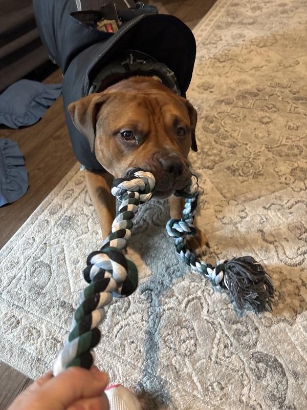 Big boy came running around the corner to play after hearing me😂