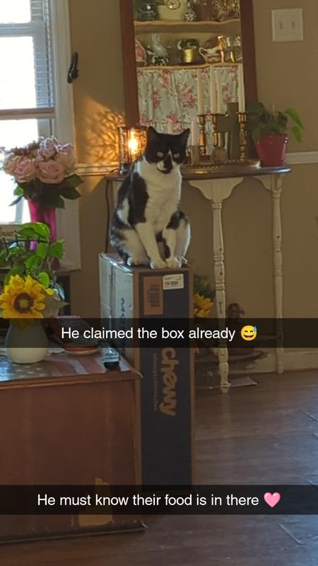 Awaiting his new box of treats and food,and a new box club house.