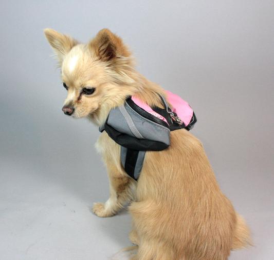 Doggles extreme 2025 dog backpack