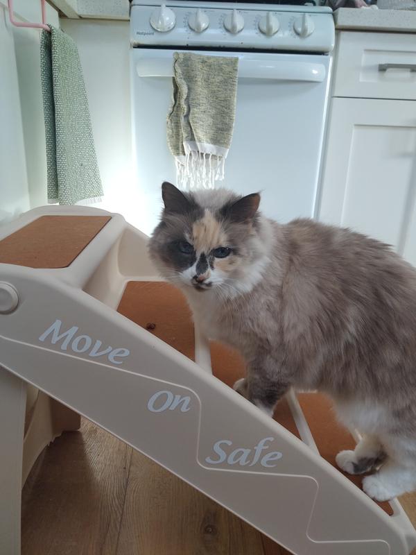 Using treats to train her hiw to use the stairs hehe