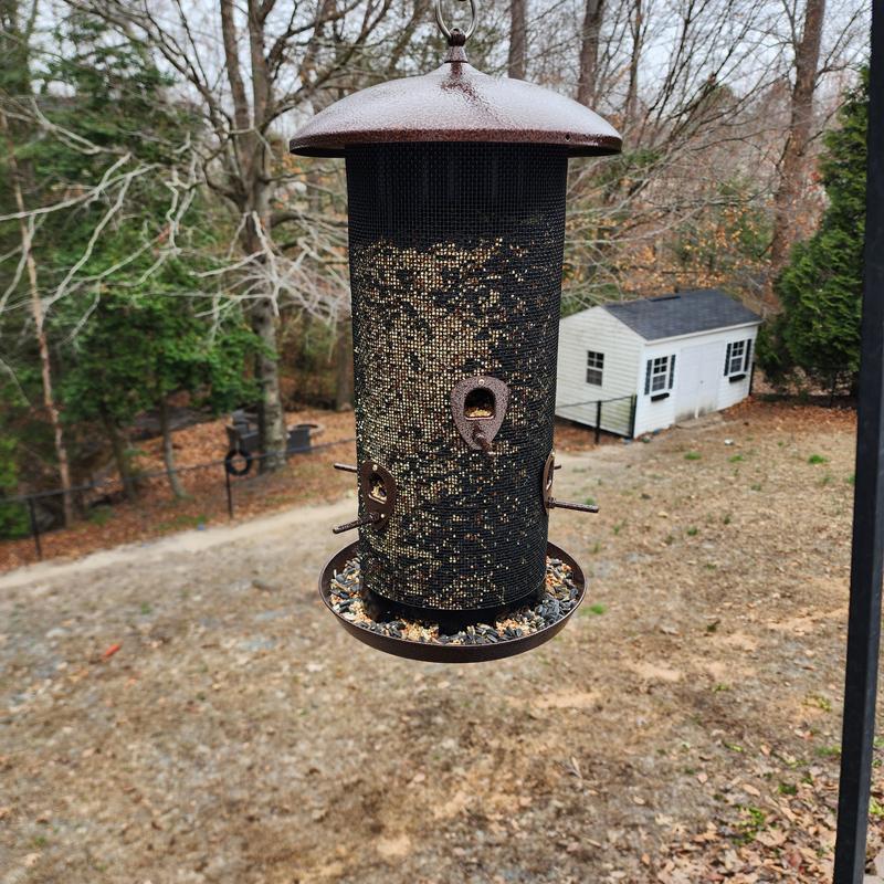 Just what I was looking for