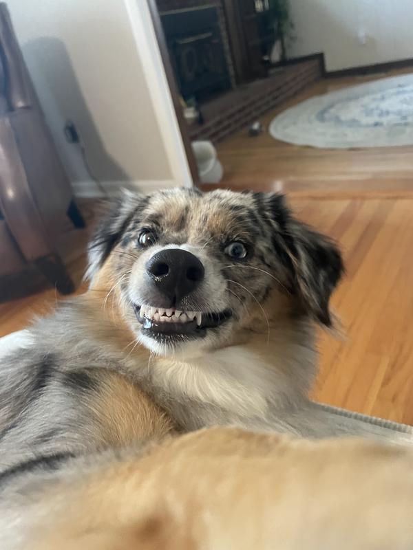 Pepper says “yummy!”