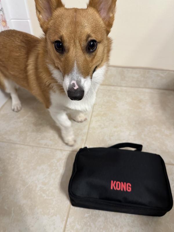 Corgi will not be left out lol!