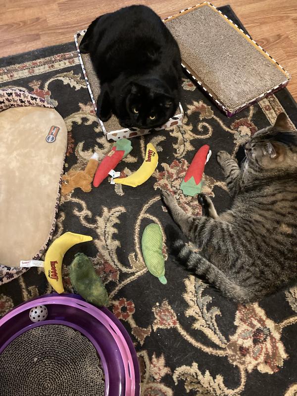 OurPets Snagable Platypus Kicker Cat Toy