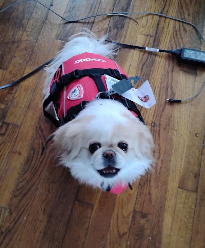 I can't wait to go kayaking with Mommy!