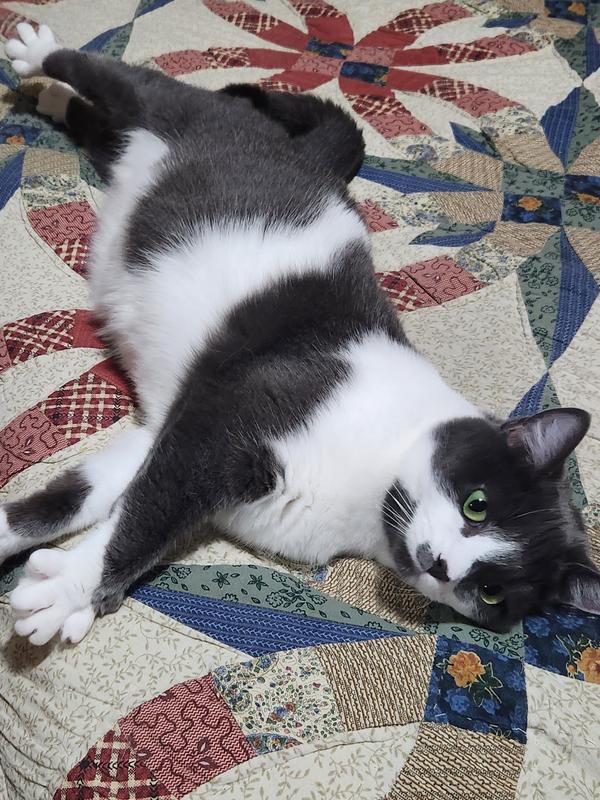 My rescue that is a sweetie.